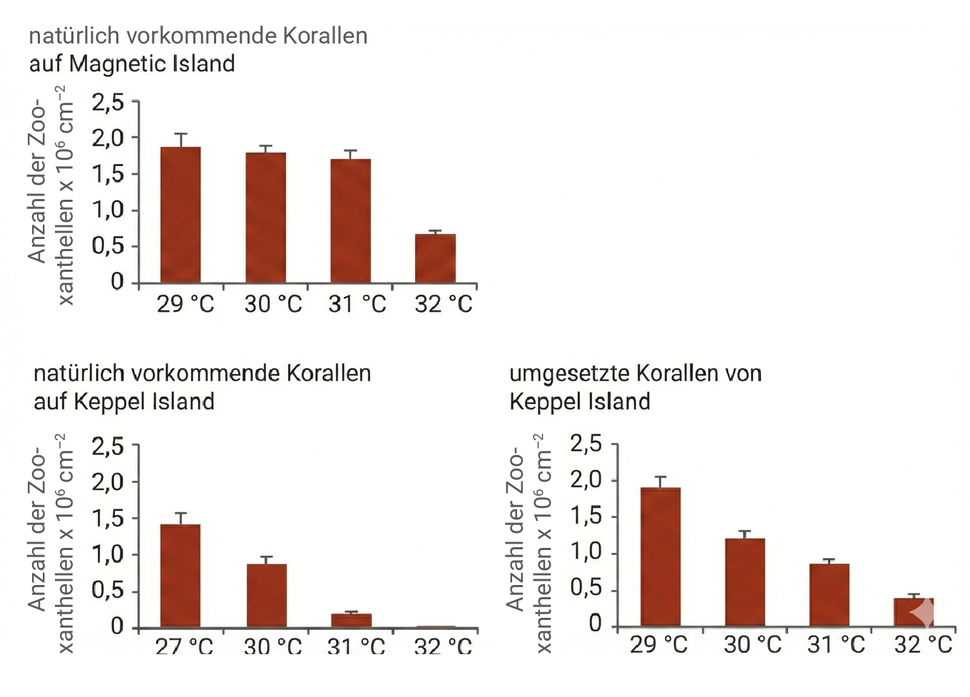 Drei Balkendiagramme zur Anzahl von Zooxanthellen in Korallen bei verschiedenen Temperaturen (Magnetic, Keppel)